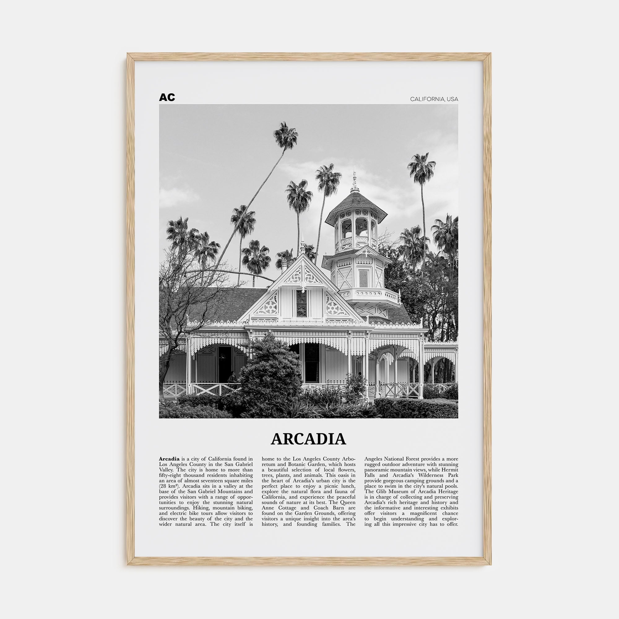 Arcadia Travel B&W Poster