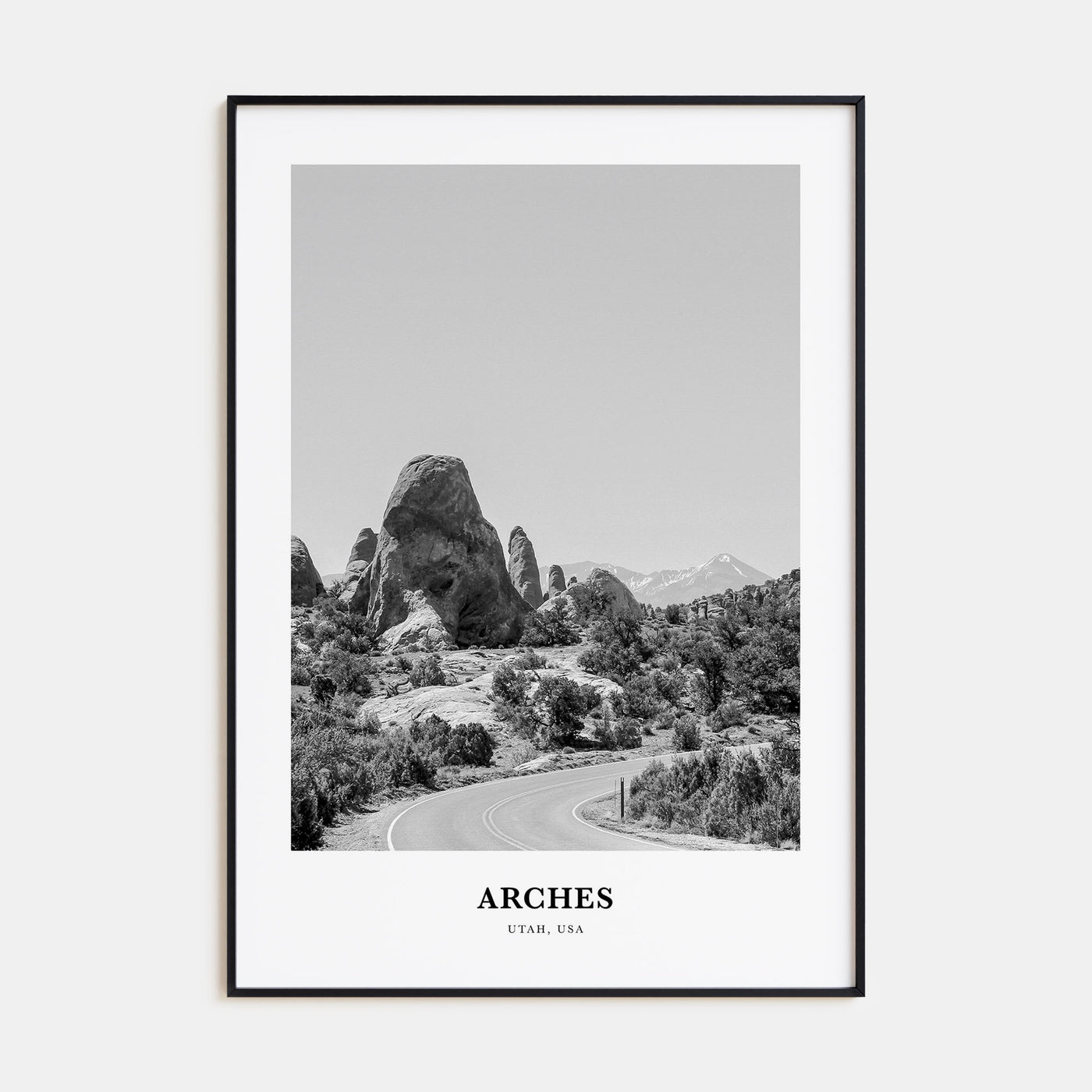 Arches National Park Portrait B&W Poster
