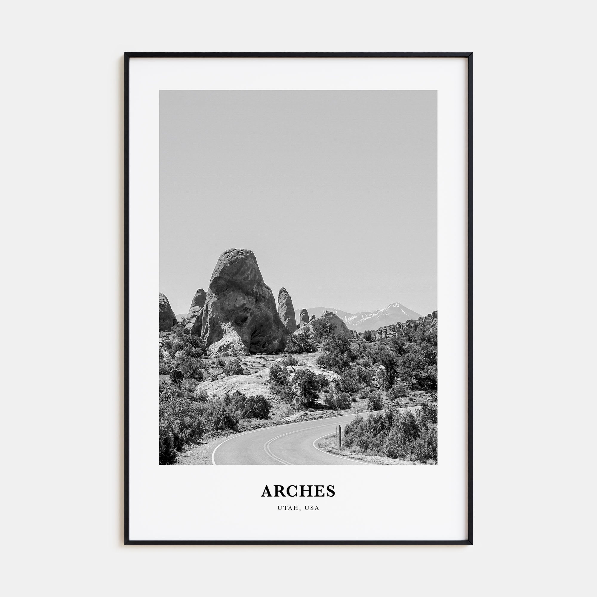 Arches National Park Portrait B&W Poster