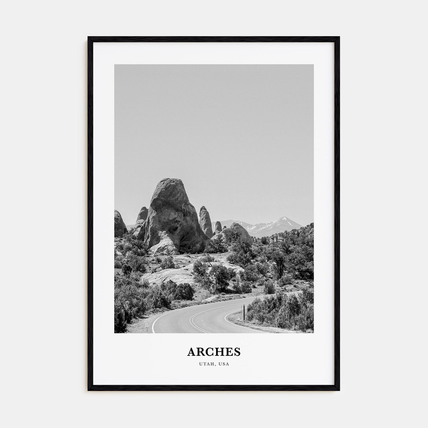 Arches National Park Portrait B&W Poster