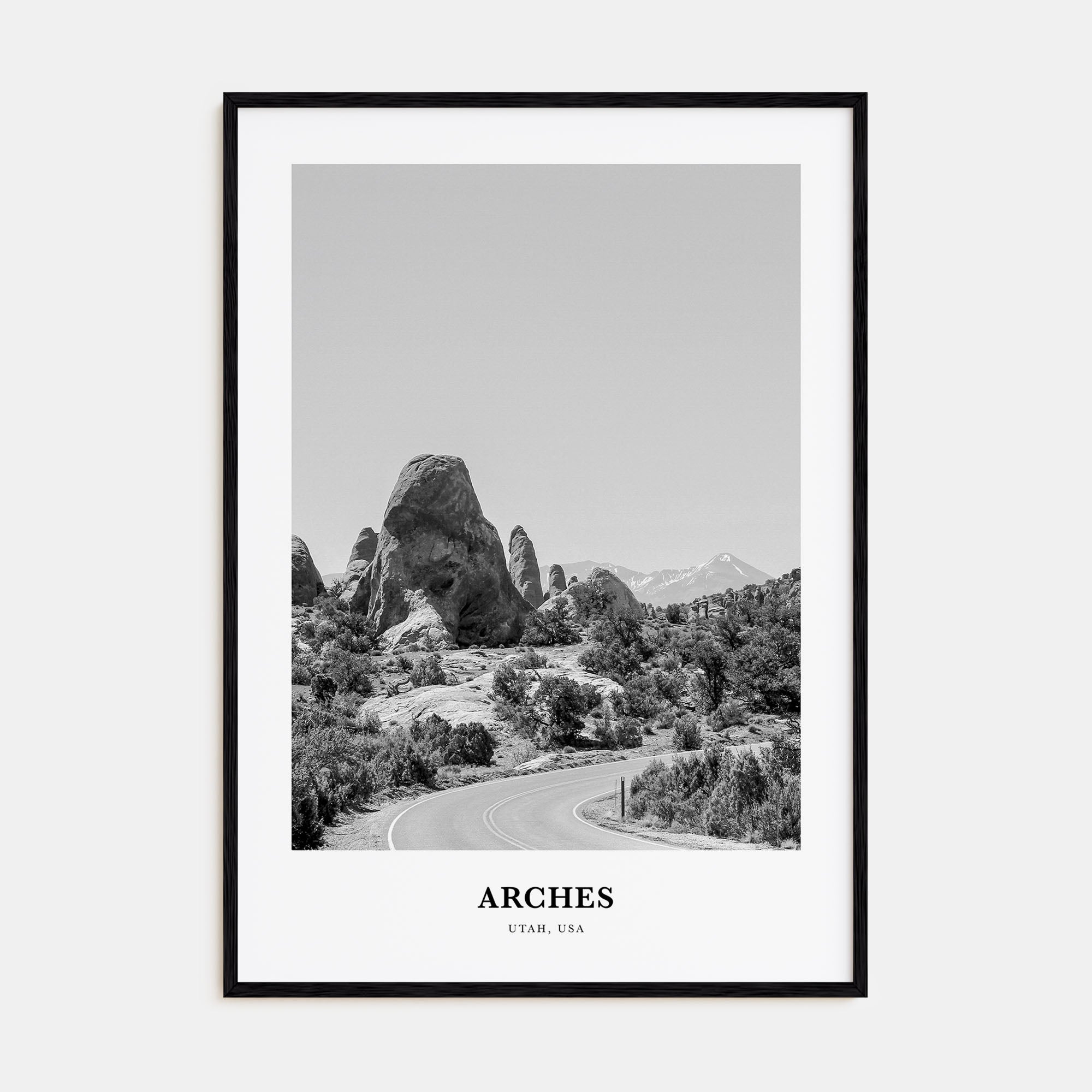 Arches National Park Portrait B&W Poster