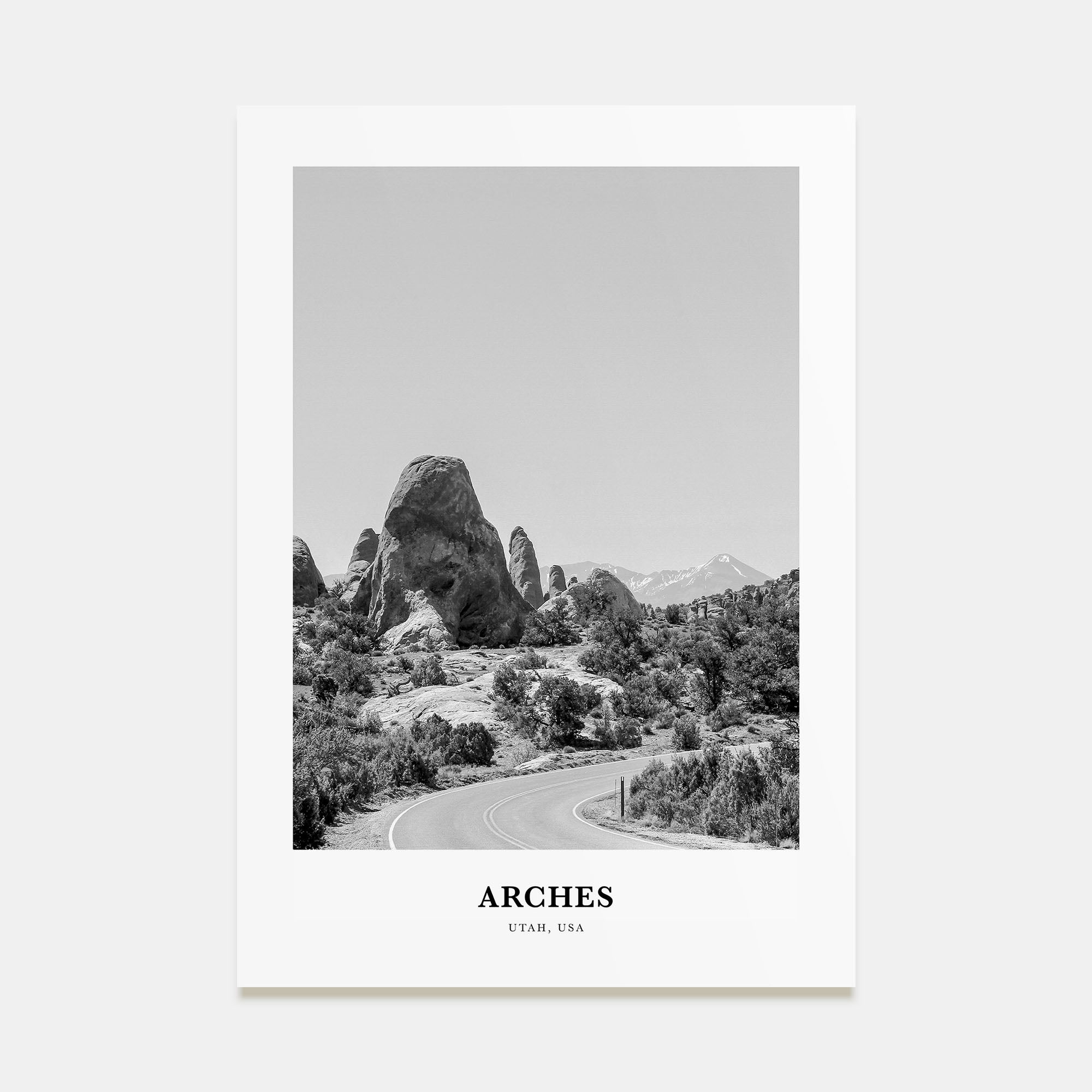 Arches National Park Portrait B&W Poster
