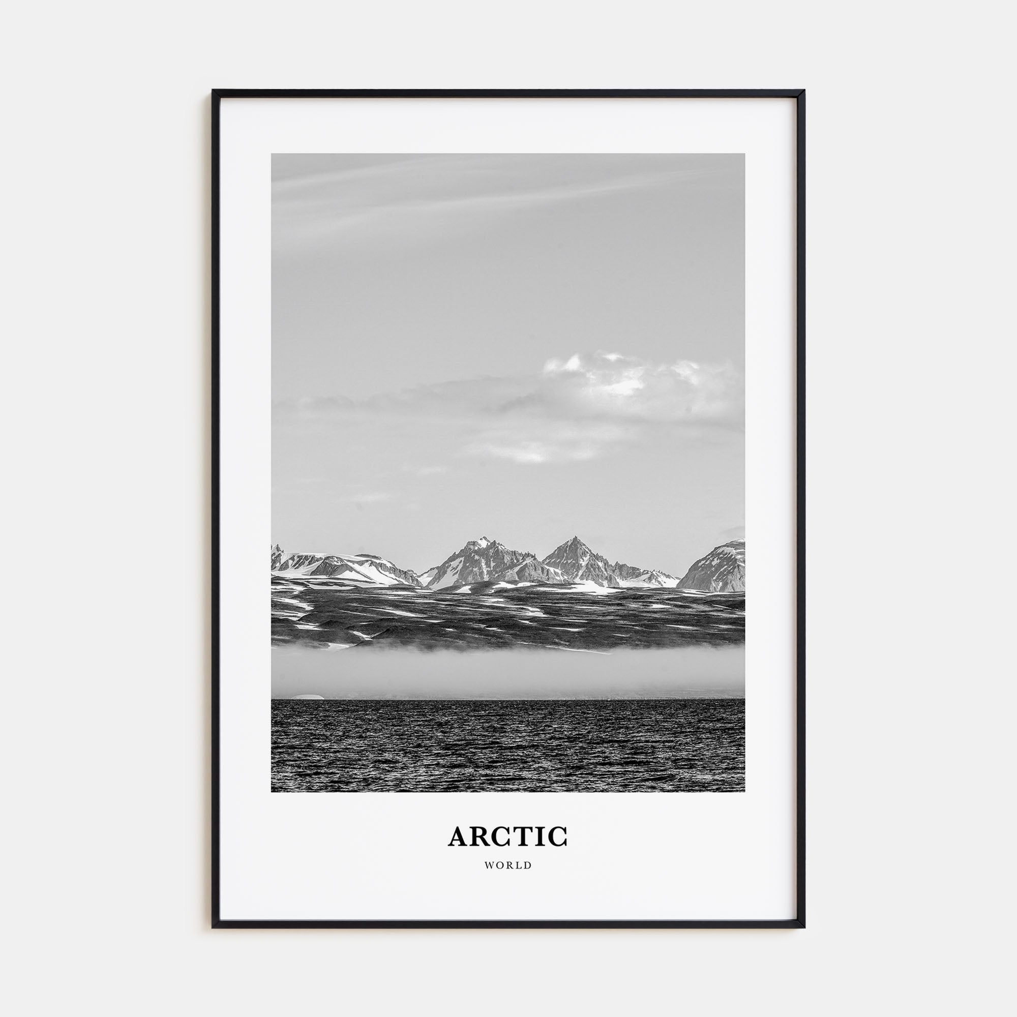 Arctic Portrait B&W Poster