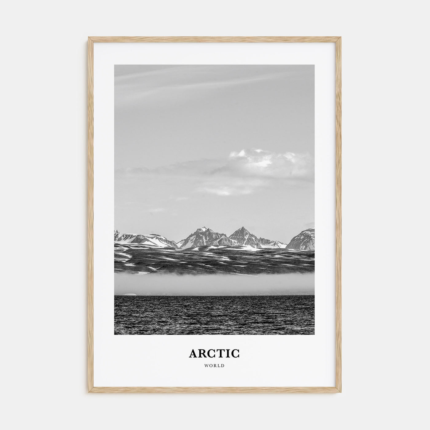 Arctic Portrait B&W Poster