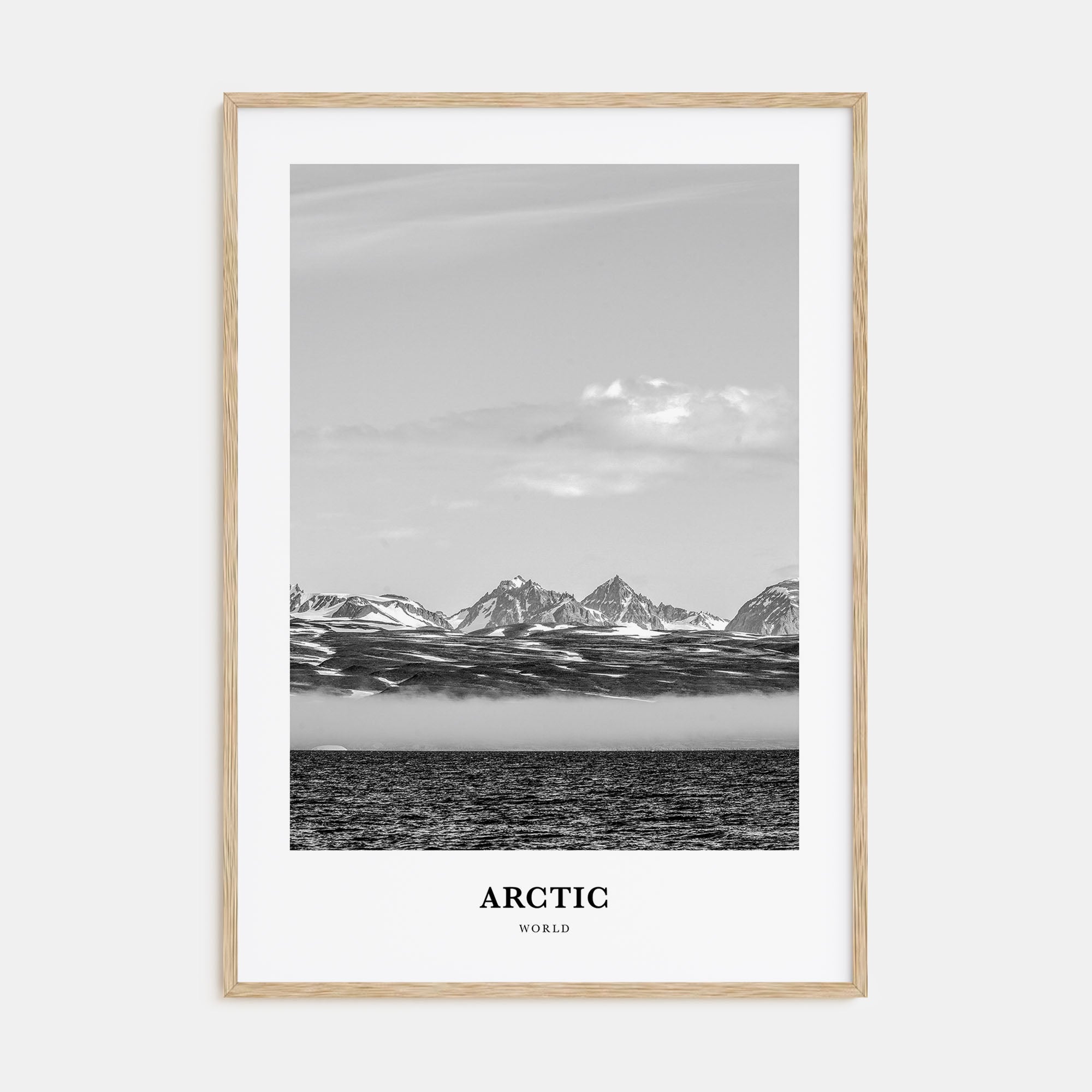 Arctic Portrait B&W Poster