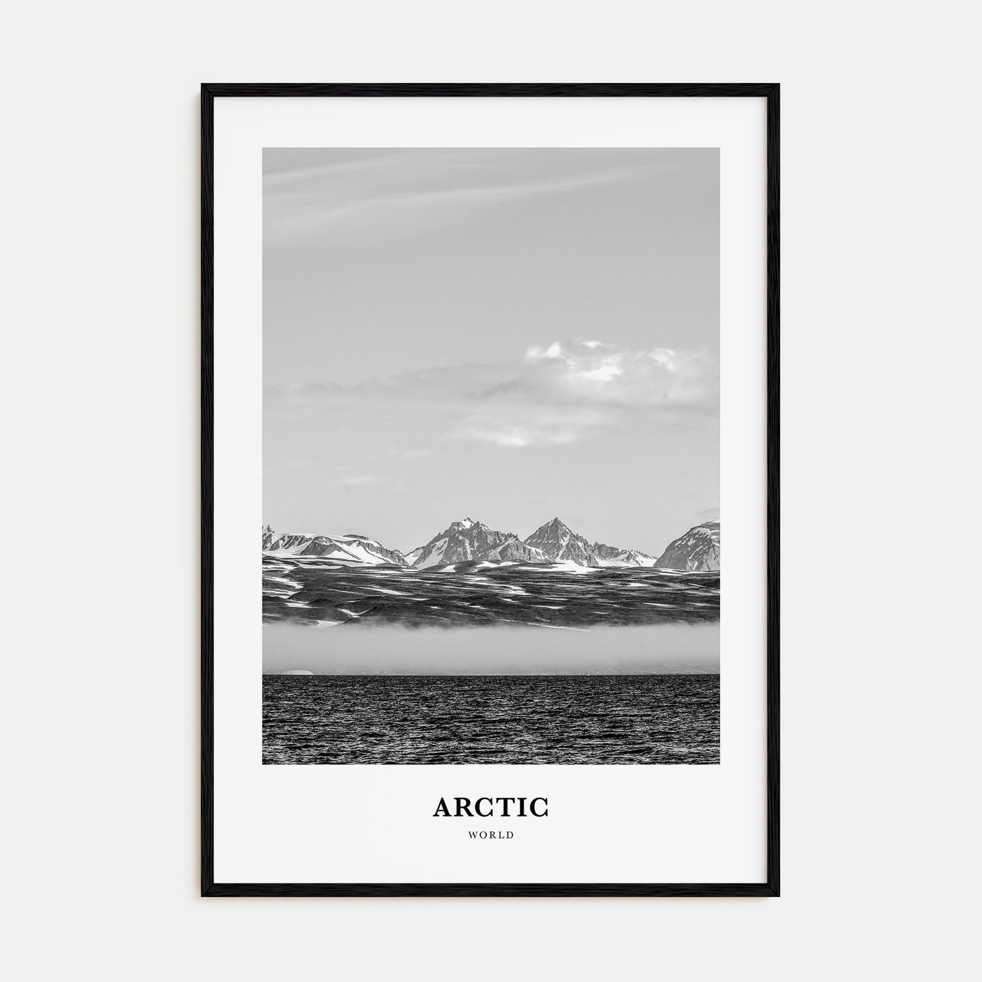 Arctic Portrait B&W Poster
