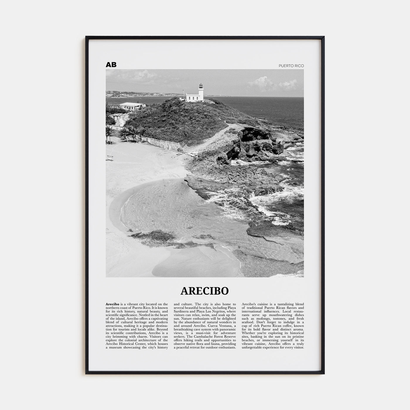 Arecibo Travel B&W No 1 Poster