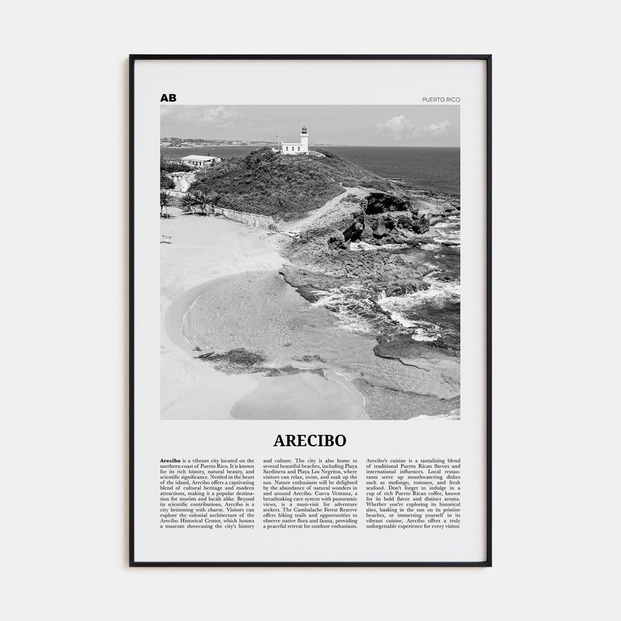 Arecibo Travel B&W No 1 Poster