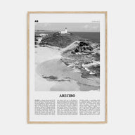 Arecibo Travel B&W No 1 Poster