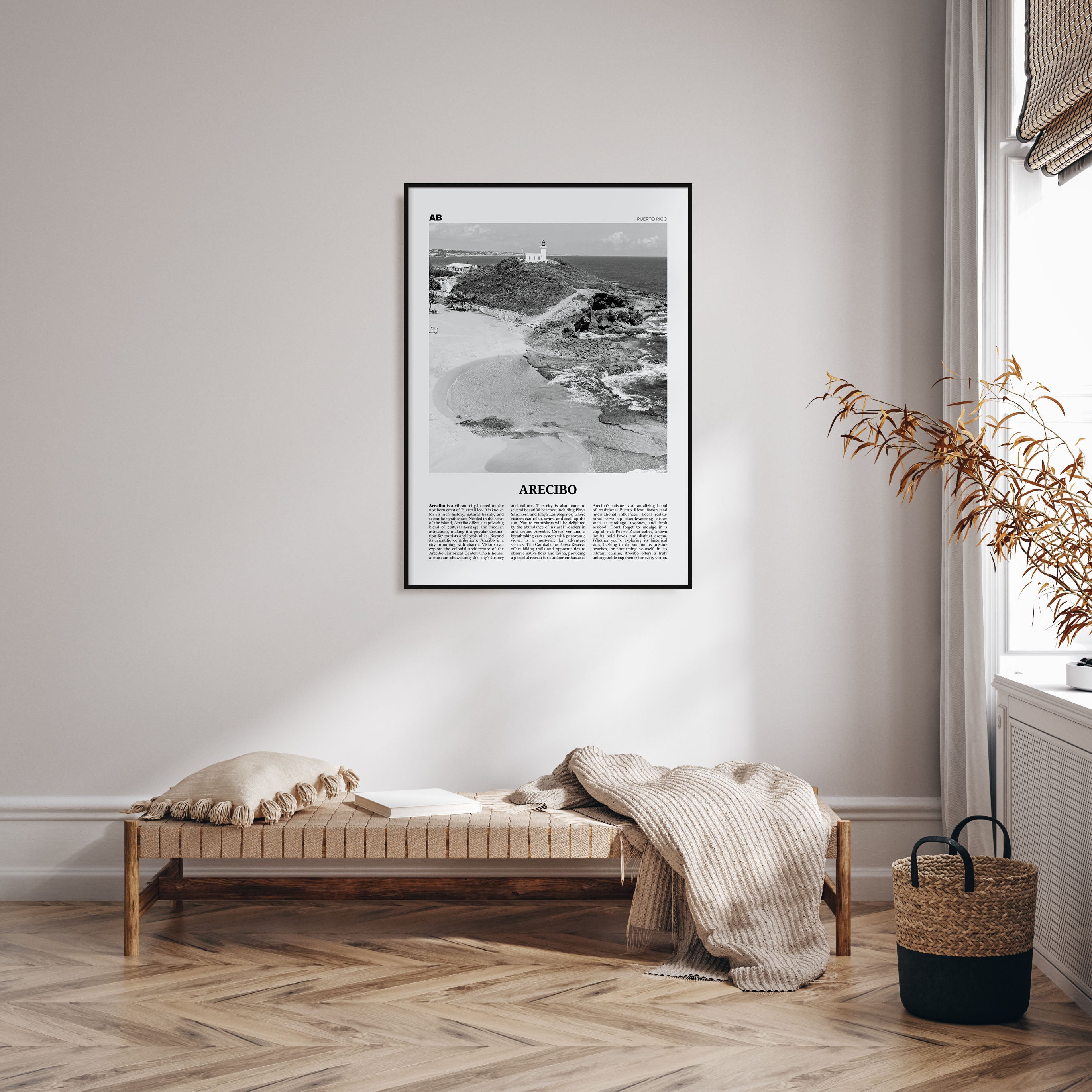 Arecibo Travel B&W No 1 Poster