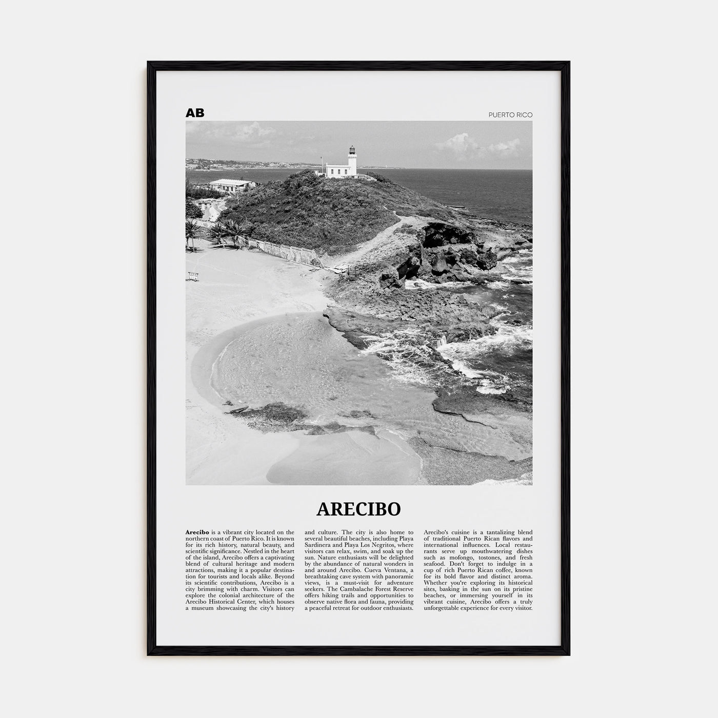 Arecibo Travel B&W No 1 Poster
