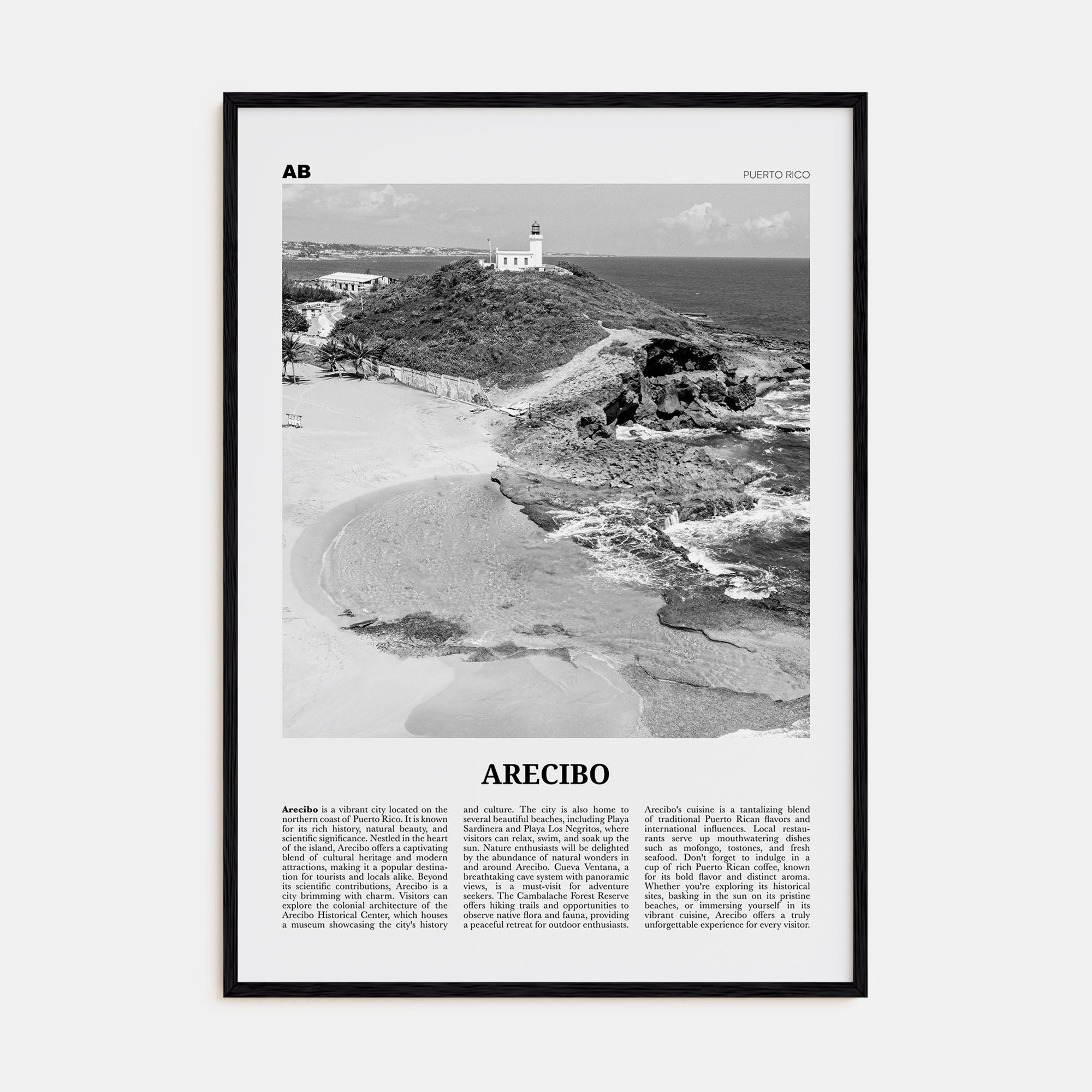 Arecibo Travel B&W No 1 Poster
