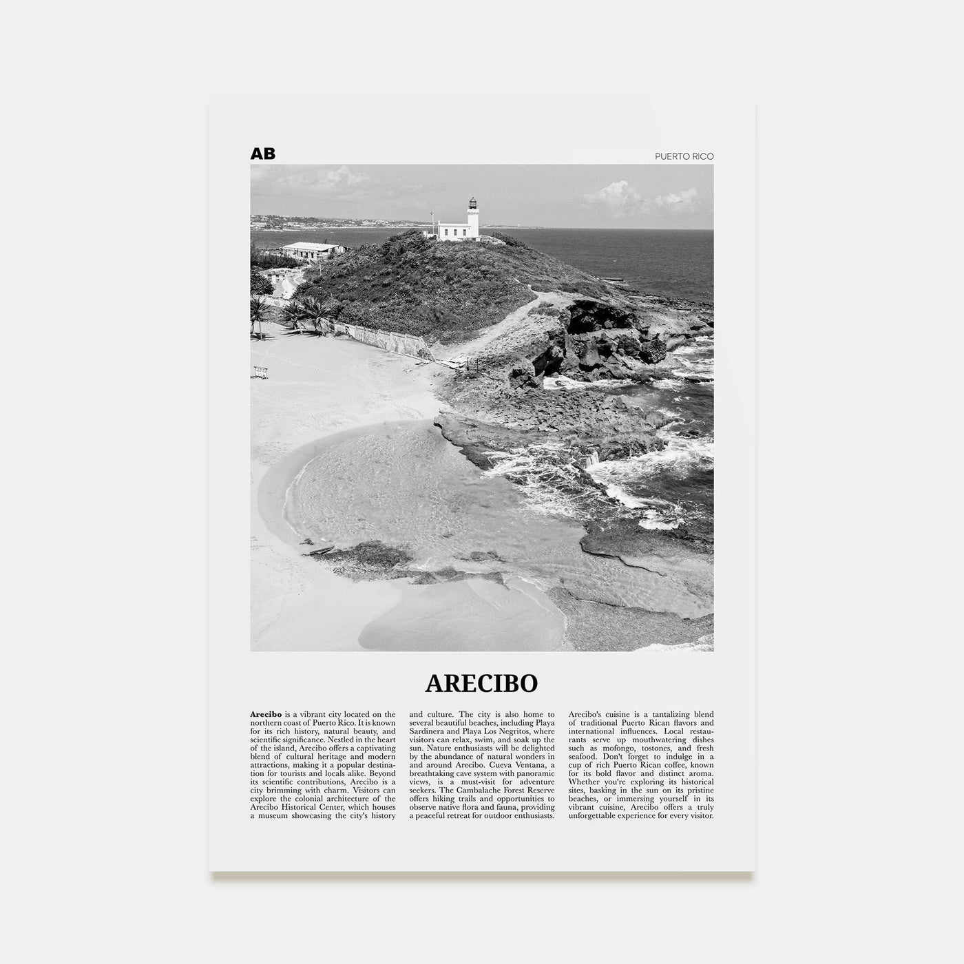 Arecibo Travel B&W No 1 Poster
