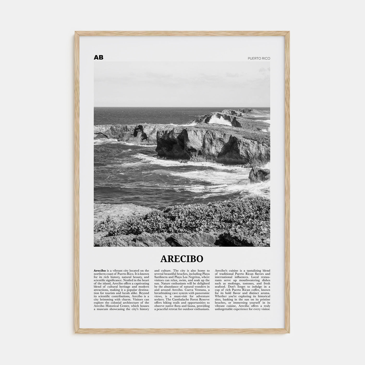 Arecibo Travel B&W No 2 Poster