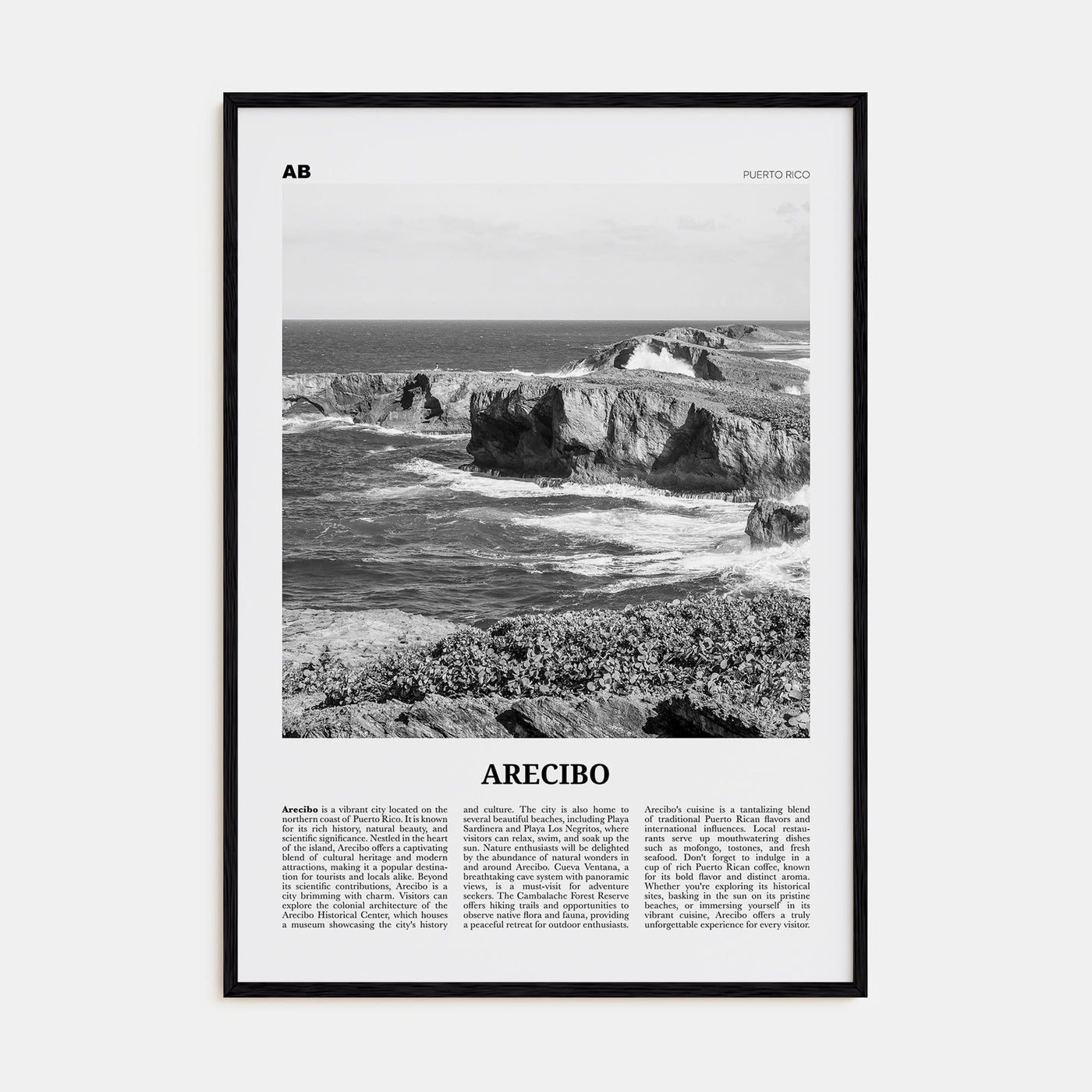 Arecibo Travel B&W No 2 Poster