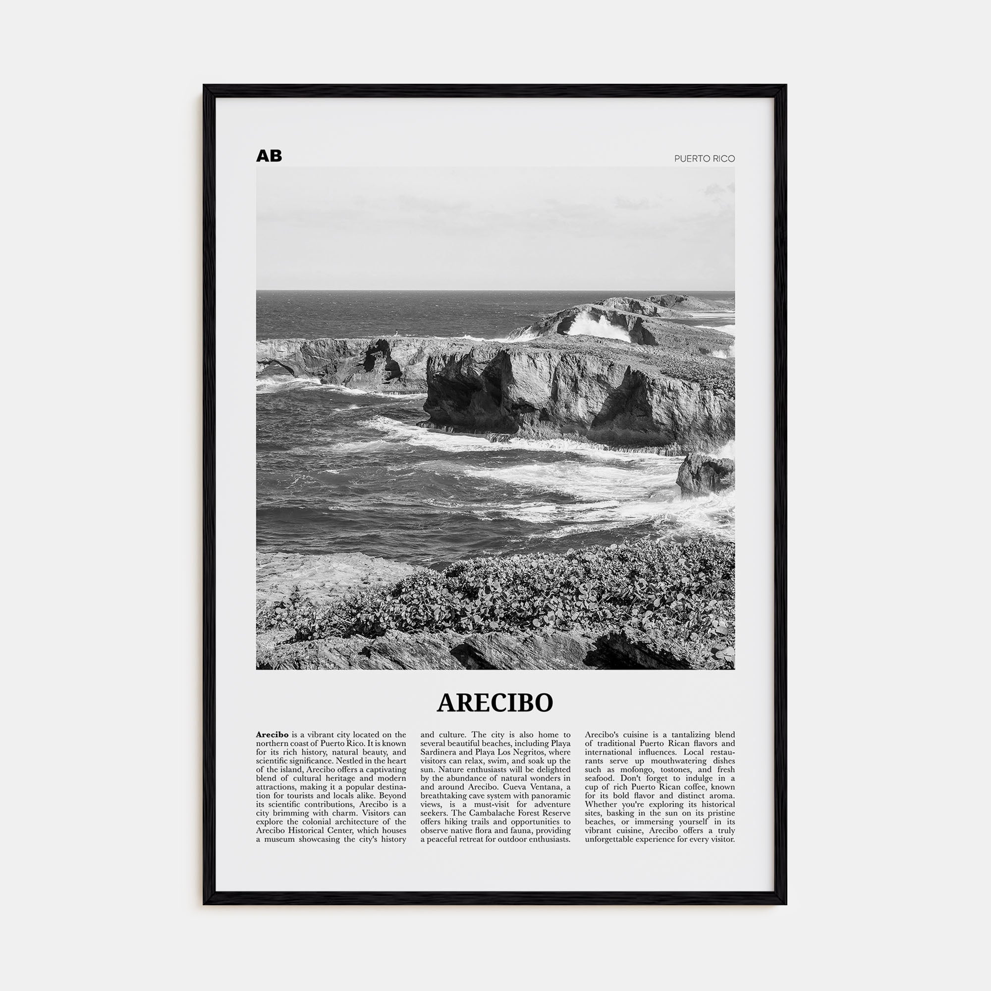 Arecibo Travel B&W No 2 Poster