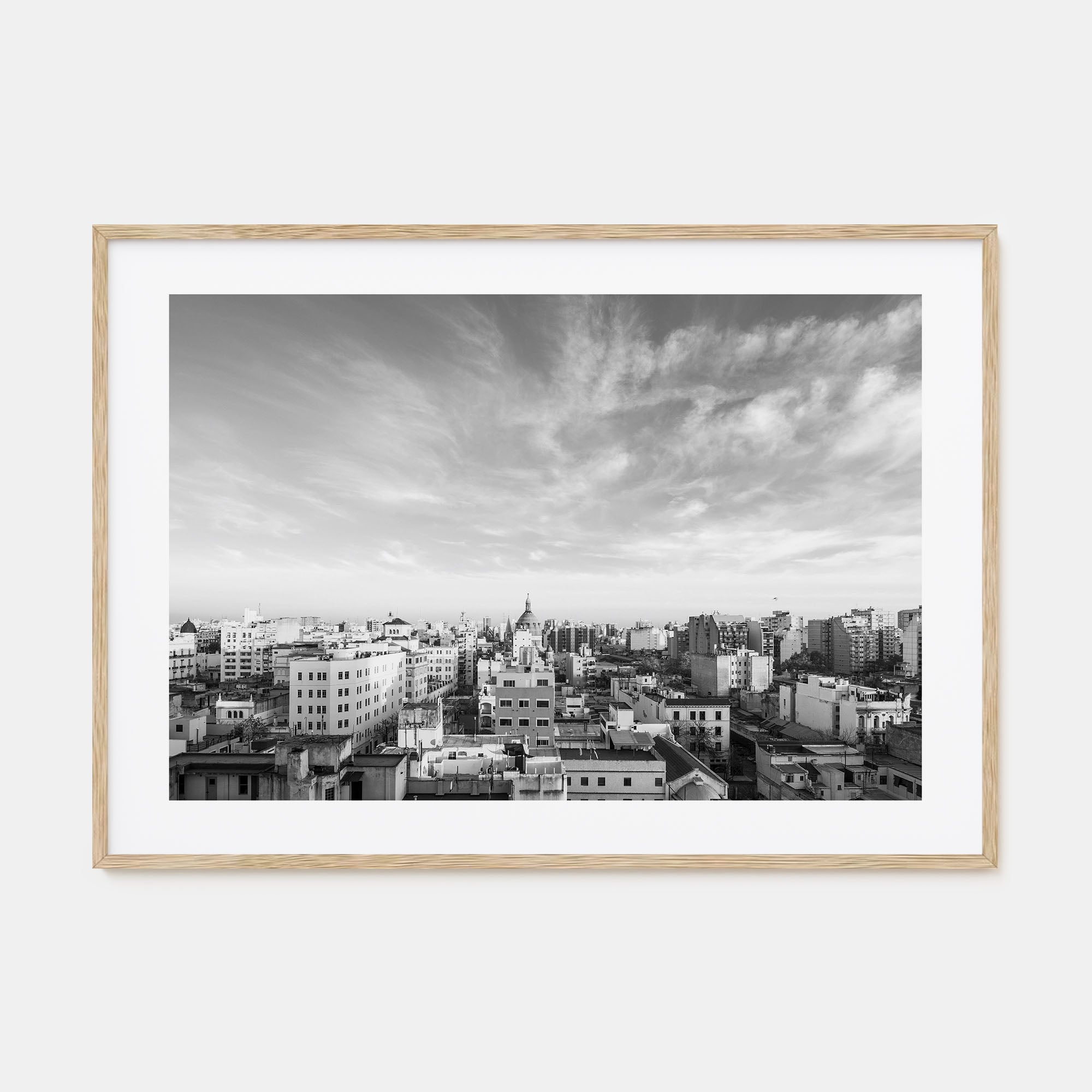Argentina Landscape B&W Poster
