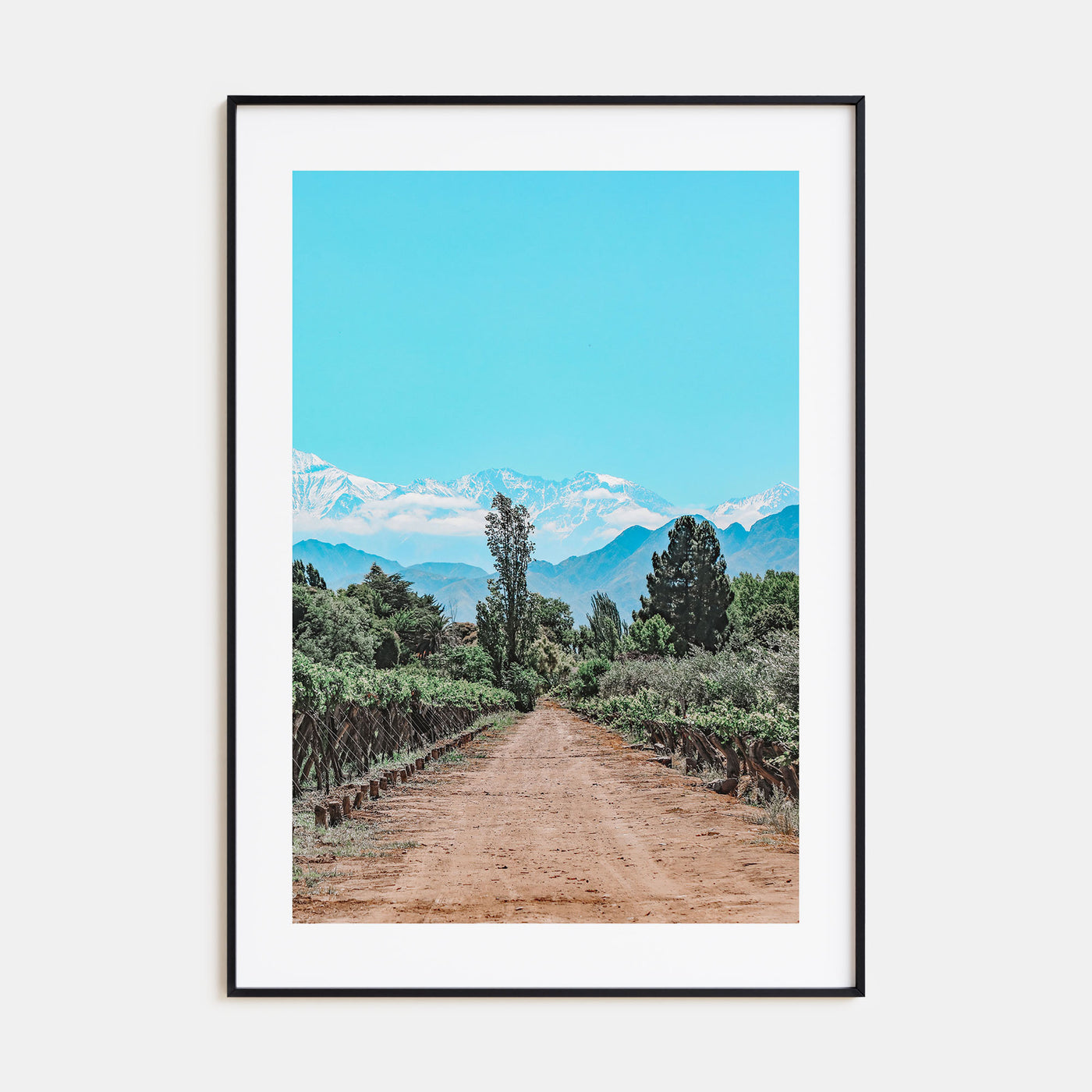 Argentina Photo Color Poster