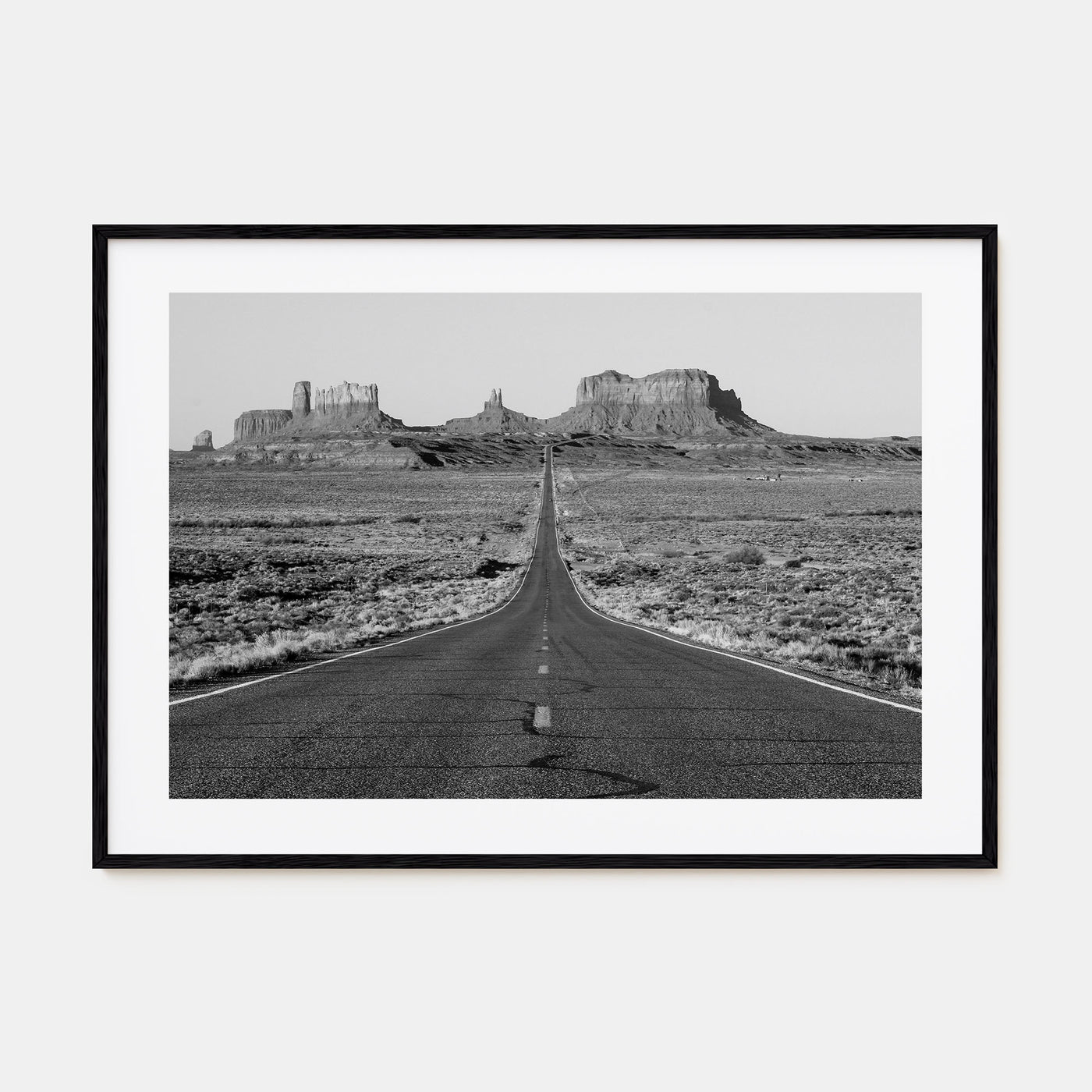 Arizona Landscape B&W No 1 Poster