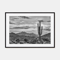 Arizona Landscape B&W No 2 Poster