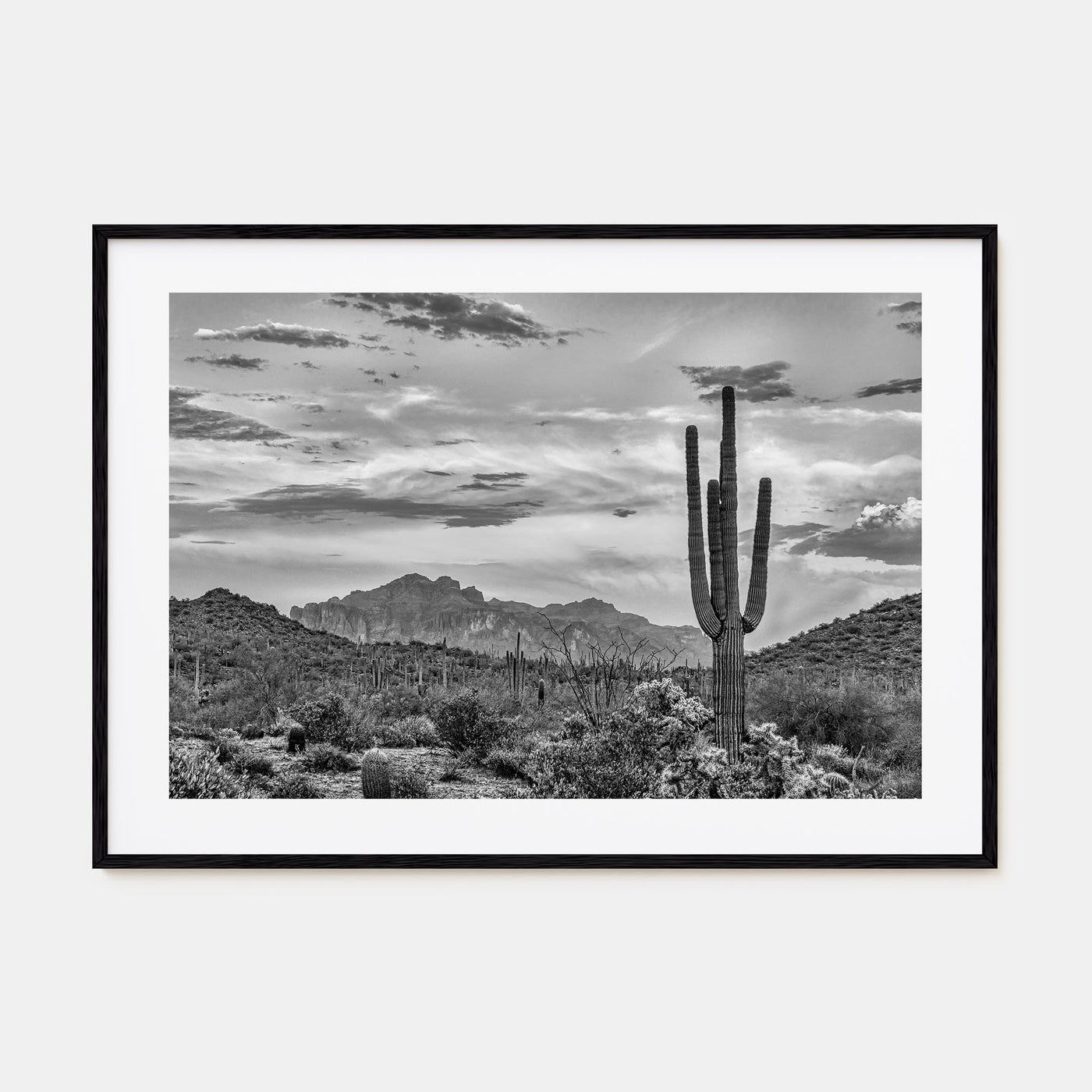 Arizona Landscape B&W No 2 Poster