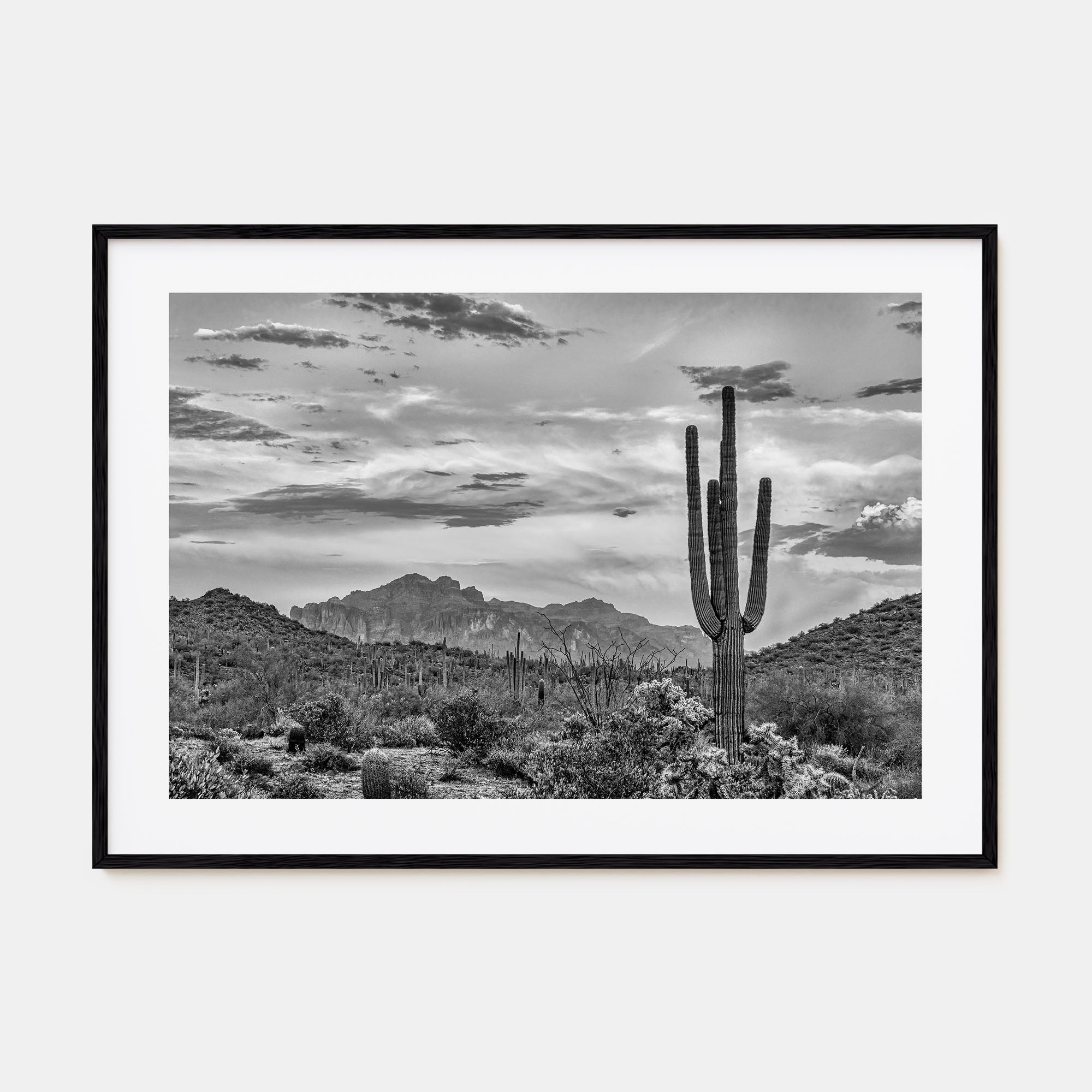 Arizona Landscape B&W No 2 Poster