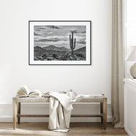 Arizona Landscape B&W No 2 Poster