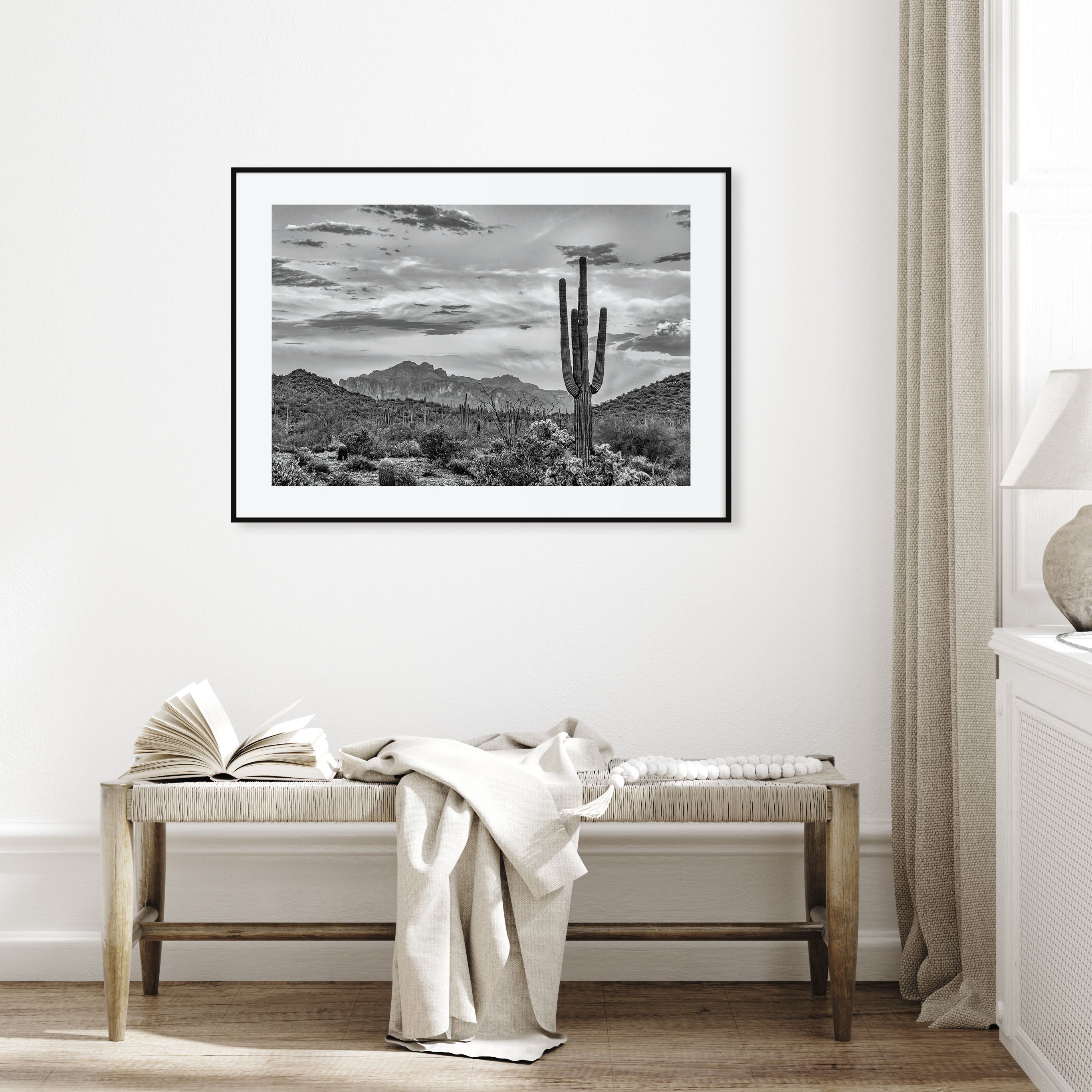 Arizona Landscape B&W No 2 Poster