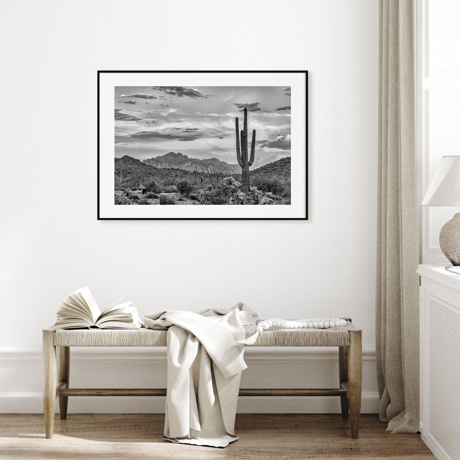 Arizona Landscape B&W No 2 Poster