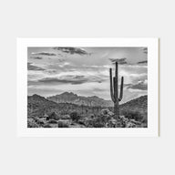Arizona Landscape B&W No 2 Poster