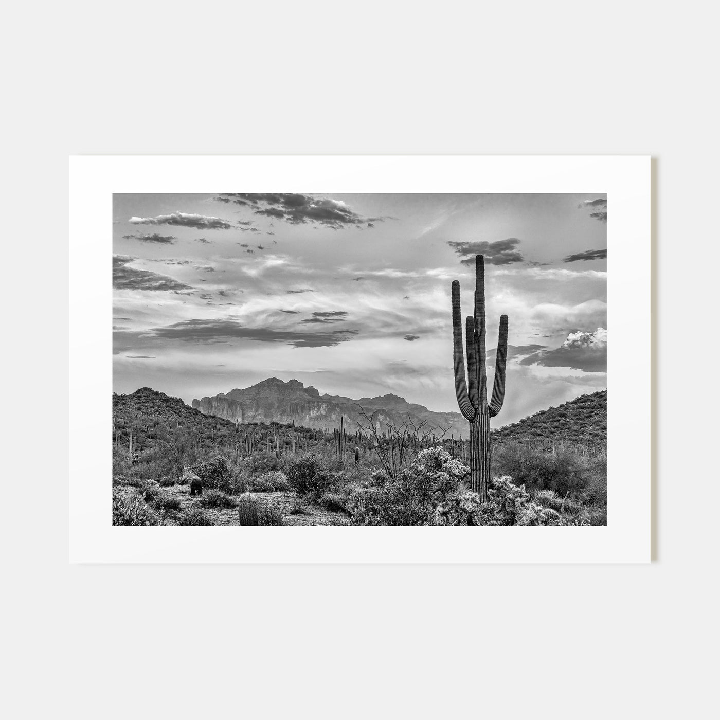 Arizona Landscape B&W No 2 Poster