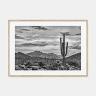 Arizona Landscape B&W No 2 Poster
