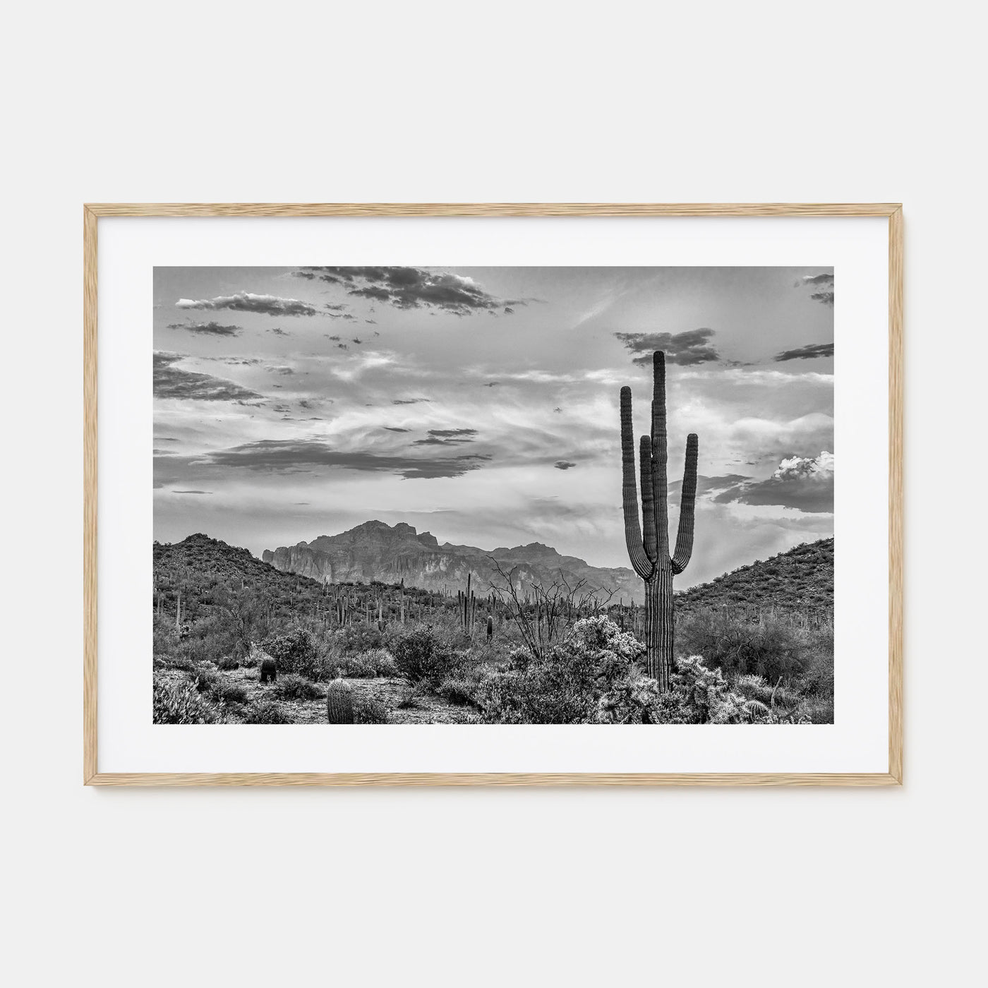 Arizona Landscape B&W No 2 Poster