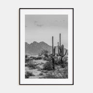 Arizona Photo B&W No 1 Poster