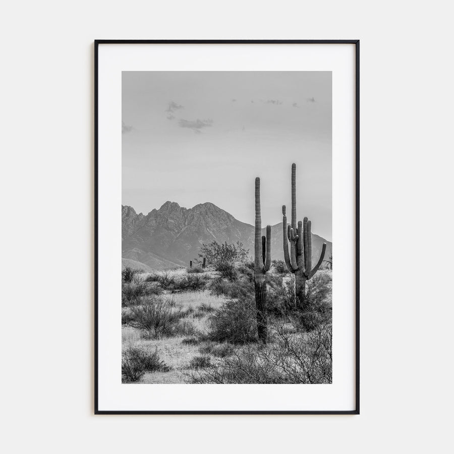 Arizona Photo B&W No 1 Poster