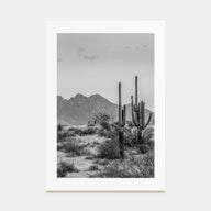 Arizona Photo B&W No 1 Poster
