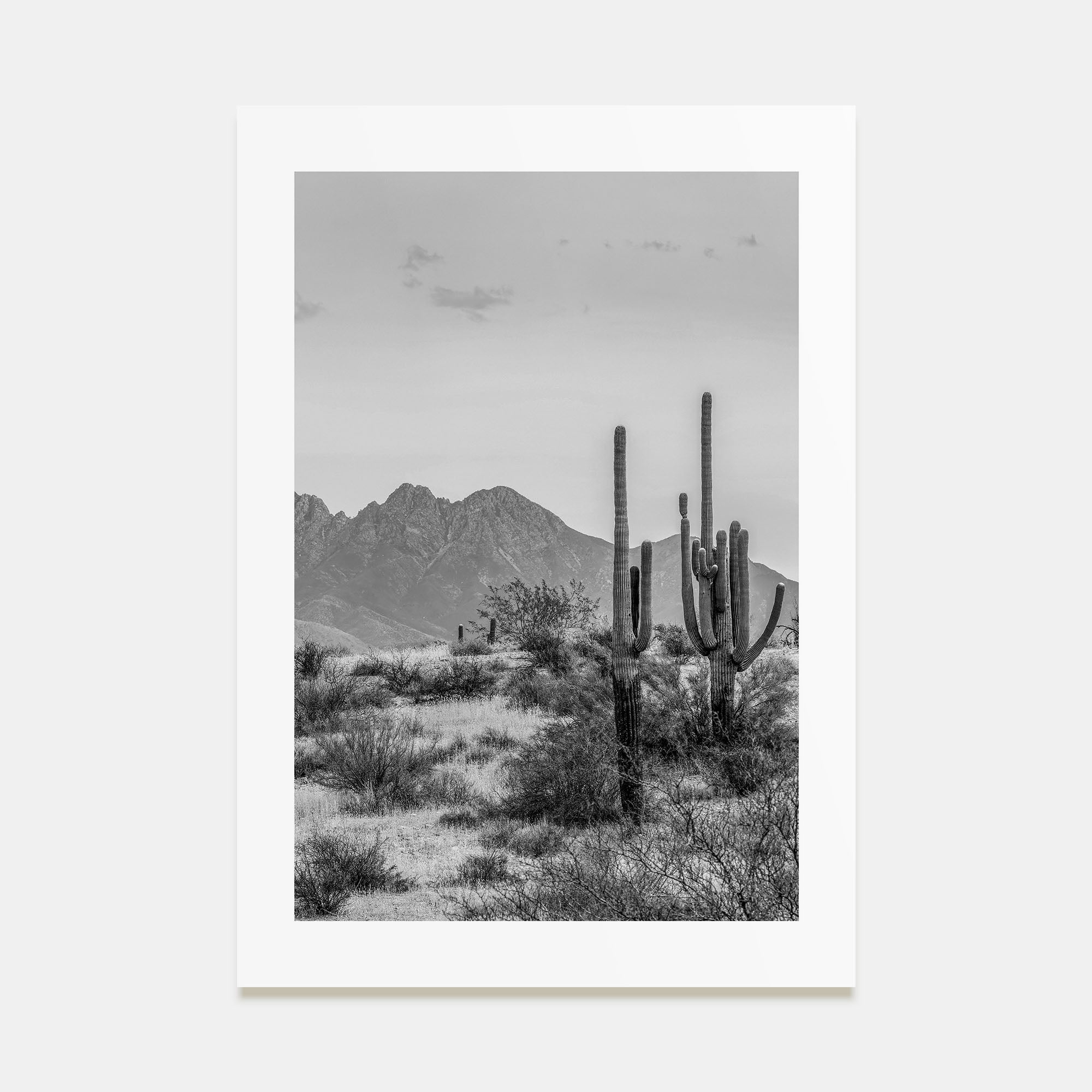 Arizona Photo B&W No 1 Poster