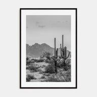 Arizona Photo B&W No 1 Poster