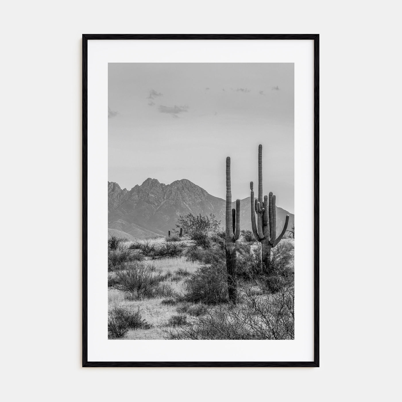 Arizona Photo B&W No 1 Poster