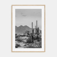 Arizona Photo B&W No 1 Poster
