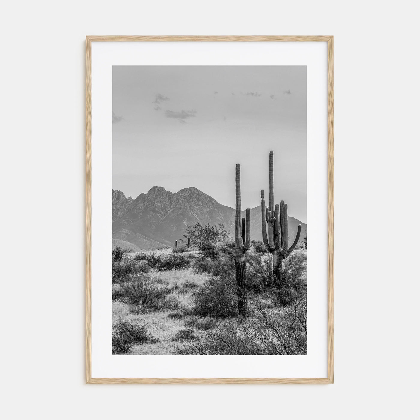 Arizona Photo B&W No 1 Poster