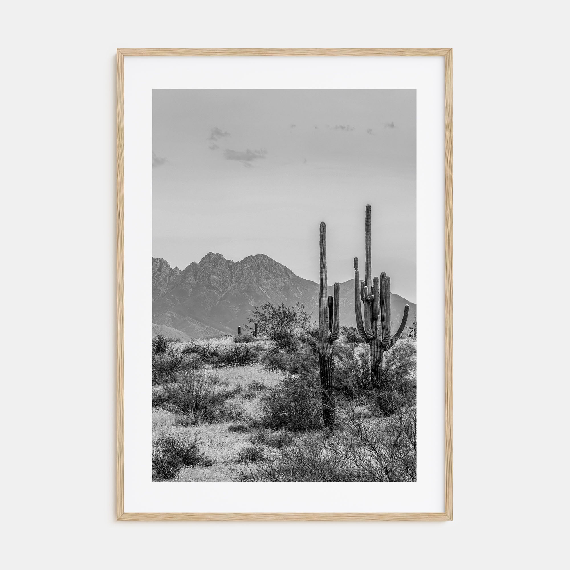Arizona Photo B&W No 1 Poster