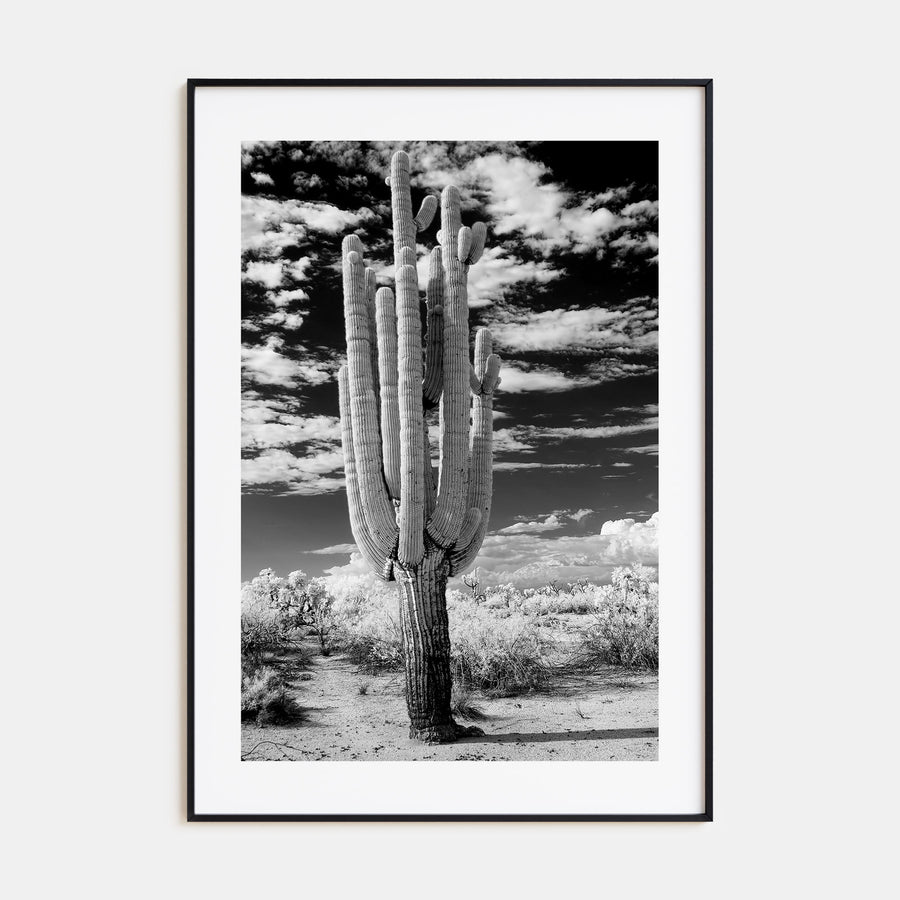 Arizona Photo B&W No 2 Poster