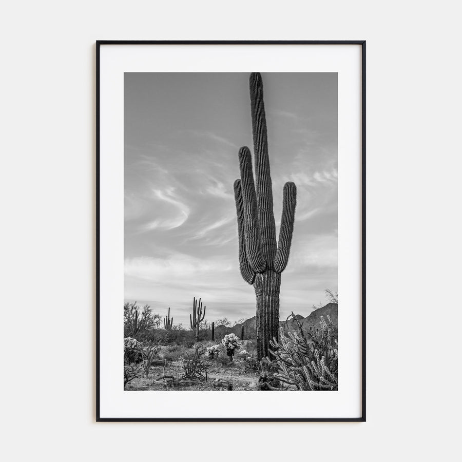 Arizona Photo B&W No 5 Poster
