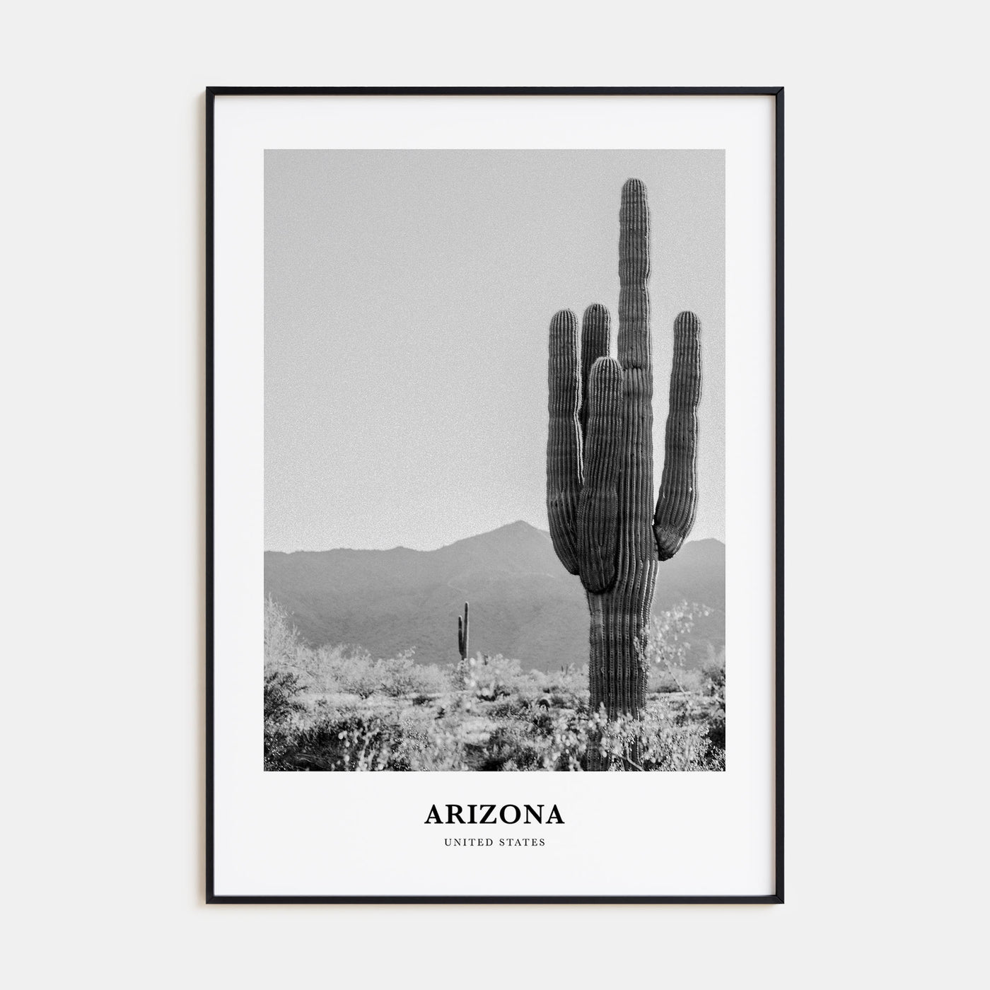 Arizona Portrait B&W No 1 Poster
