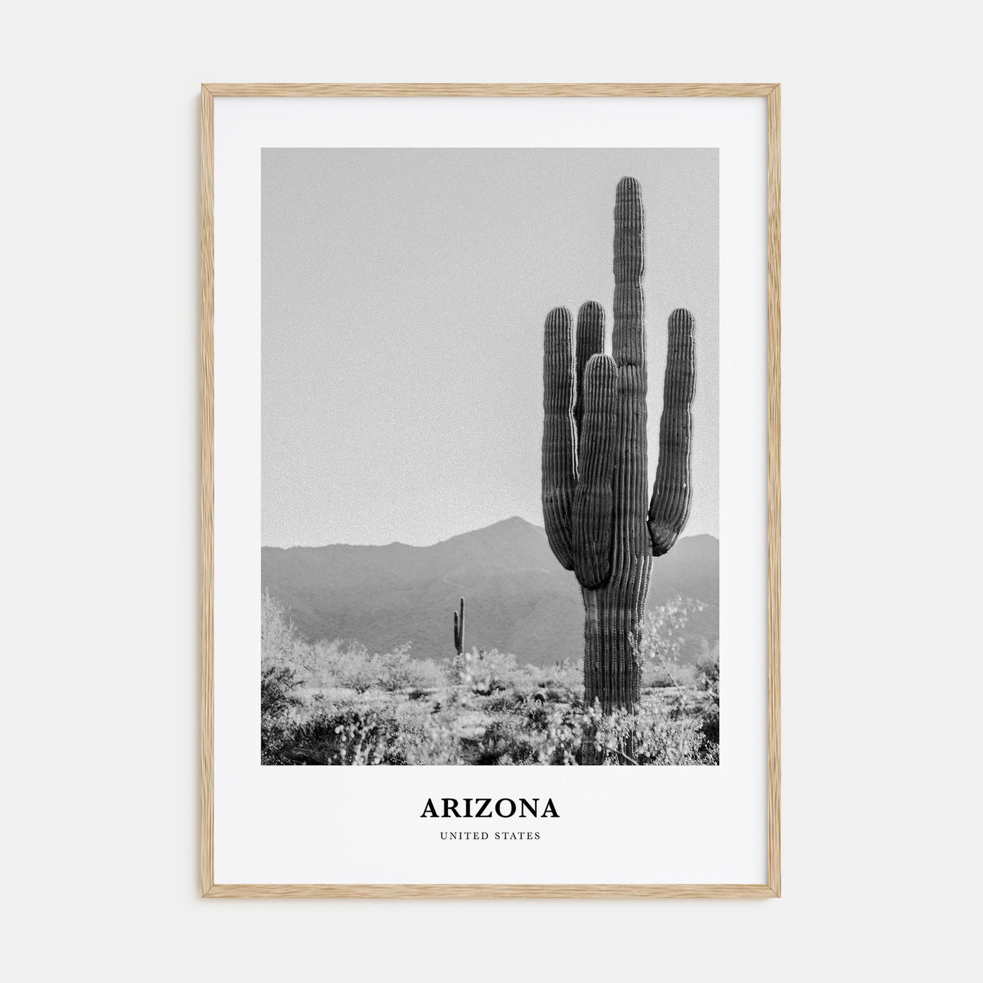 Arizona Portrait B&W No 1 Poster