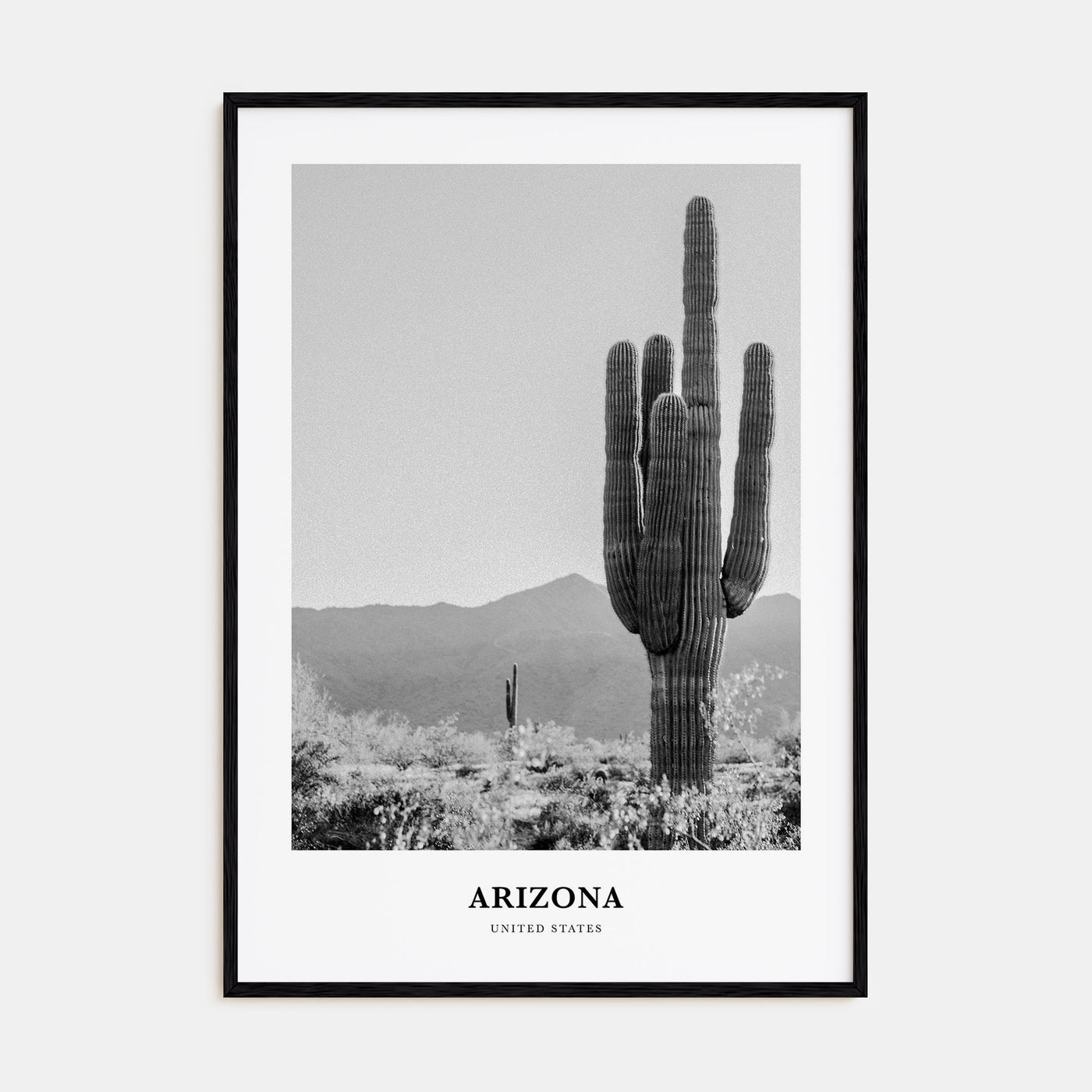 Arizona Portrait B&W No 1 Poster