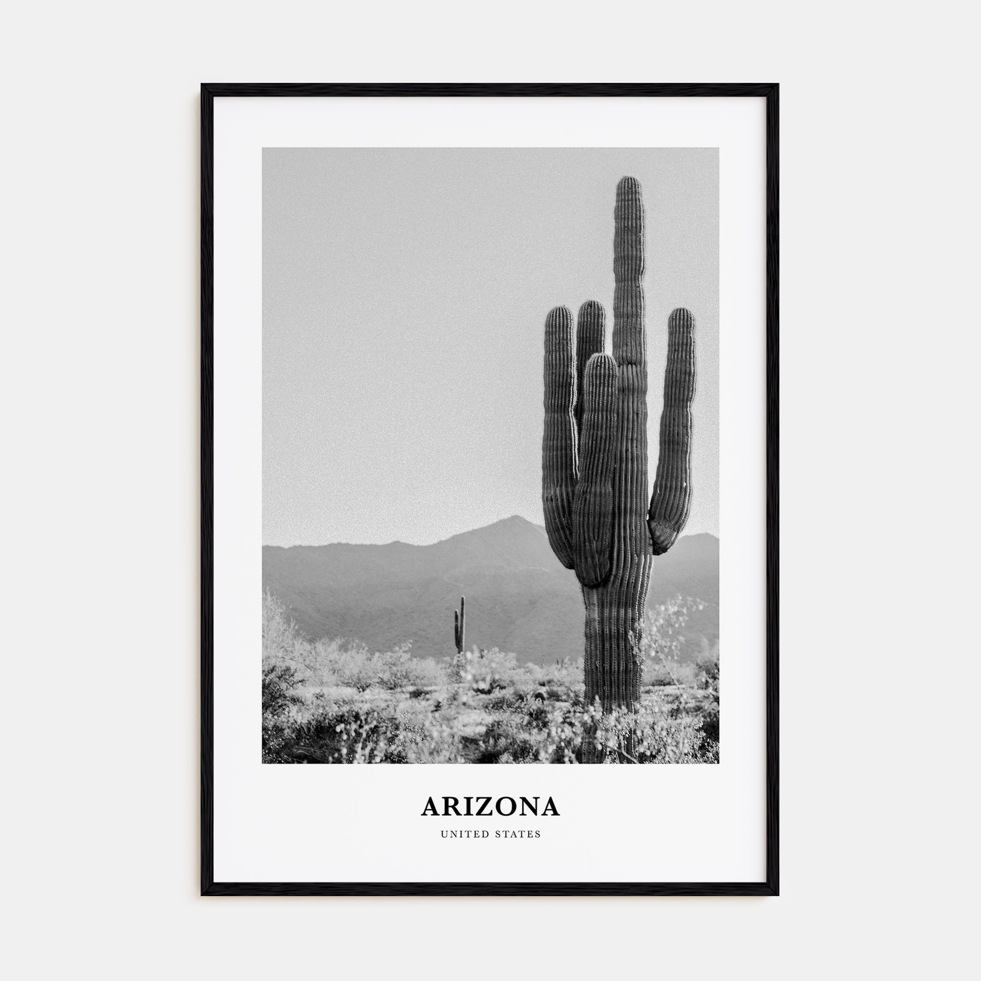 Arizona Portrait B&W No 1 Poster
