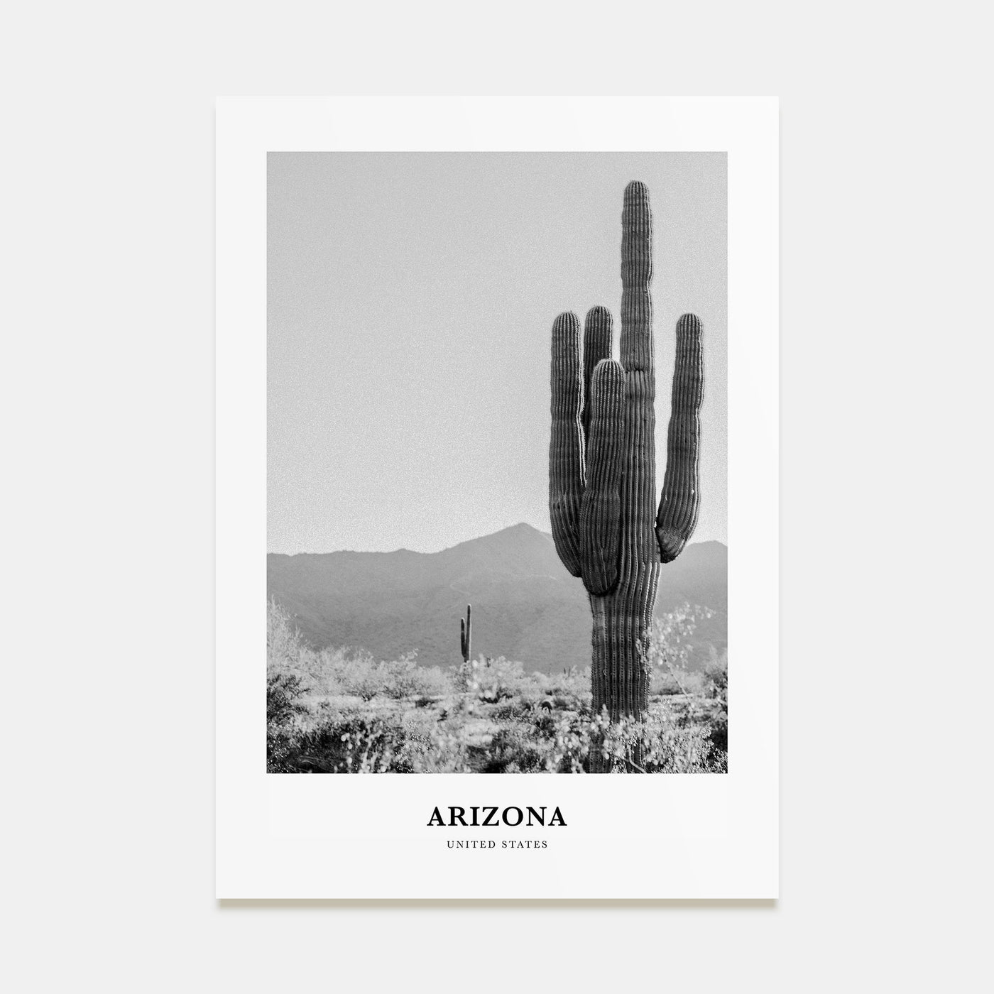 Arizona Portrait B&W No 1 Poster