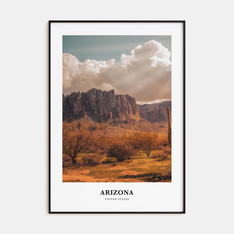Arizona Portrait Color No 1 Poster
